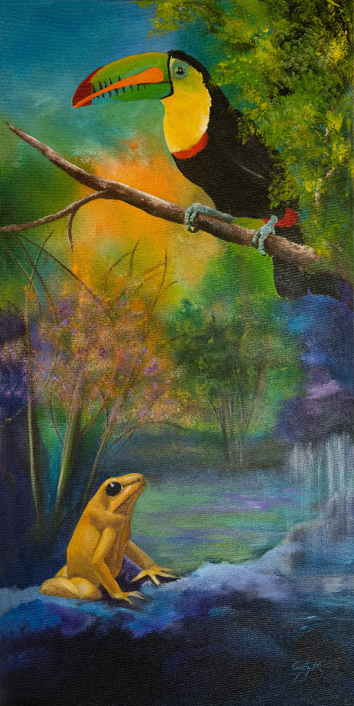 Toucan and a golden frog