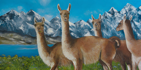 Four guanacos standing in a field with mountains in the background