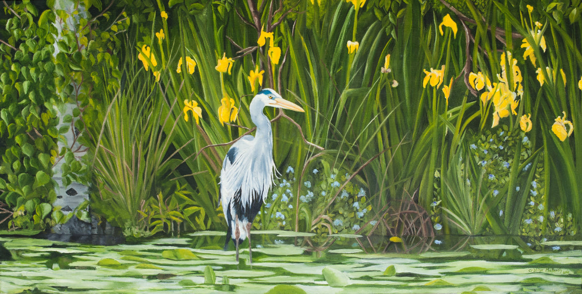 Painting of a heron standing in water surrounded by greenery and yellow flowers by Cristina Materon