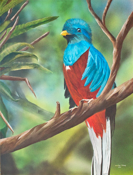 Quetzal painting